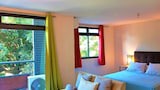 Estudio Confort