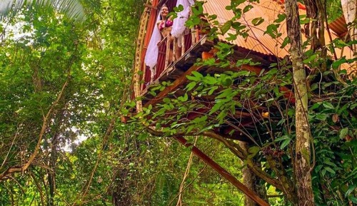 Casa exclusiva en un árbol
