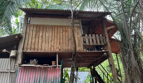 Casa romántica en un árbol