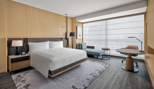 Habitación Premier, 1 cama de matrimonio grande, vistas a la ciudad