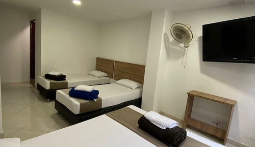 Basic Apartment