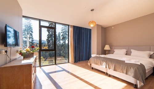 Basic Double Room, 1 Bedroom, Mountain View