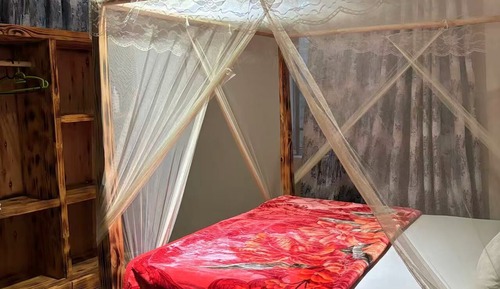 Habitación individual Confort