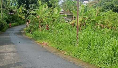 Bungalow romántico