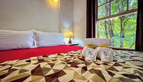 Habitación estándar con 1 cama doble o 2 individuales