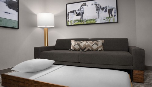 Suite, 1 cama de matrimonio grande con sofá cama
