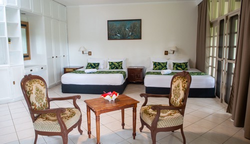Suite estudio superior
