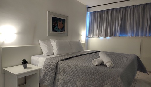 Habitación ejecutiva con 1 cama doble o 2 individuales