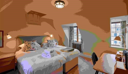 Habitación Deluxe con 2 camas individuales