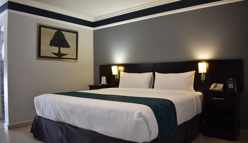 Habitación estándar, 1 cama de matrimonio grande