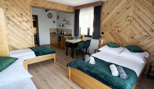 Suite estudio estándar, cocina básica, junto a la montaña (7)