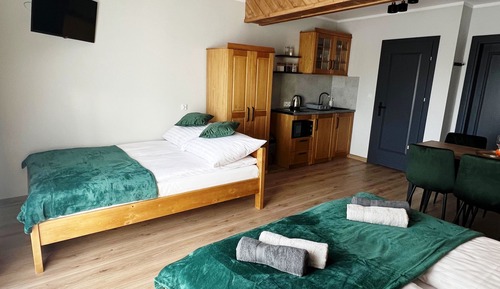 Suite estudio estándar, cocina básica, junto a la montaña (5)