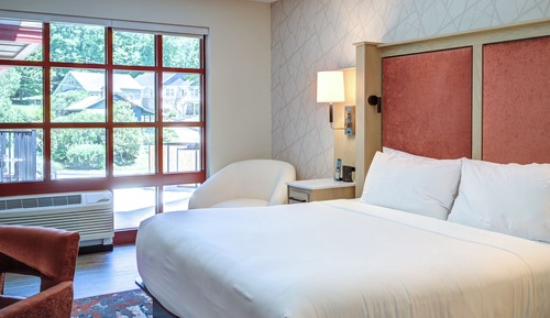 Habitación estándar, 1 cama de matrimonio grande