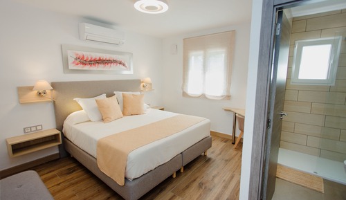 Habitación Confort con 1 cama doble o 2 individuales