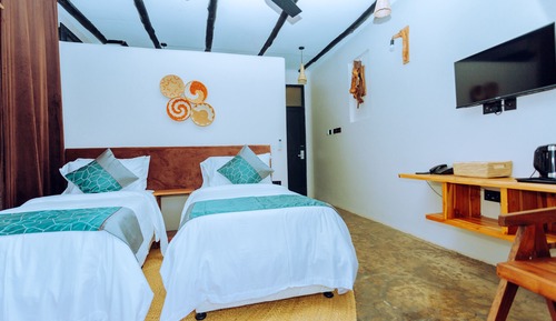 Habitación Deluxe con 2 camas individuales