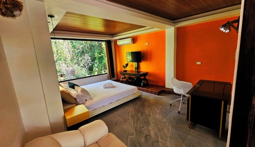 Habitación Premium