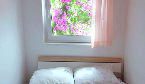 Apartamento, 1 habitación, balcón, vistas al jardín