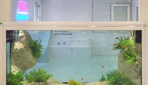 Apartamento familiar