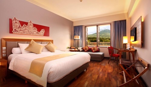 Habitación panorámica doble