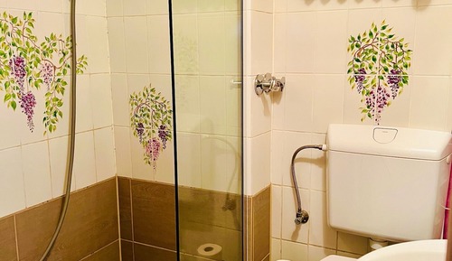 Habitación clásica doble, baño privado