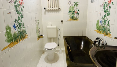Habitación clásica con 2 camas individuales, baño privado
