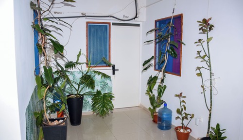 Habitación básica, no fumadores, vistas al patio