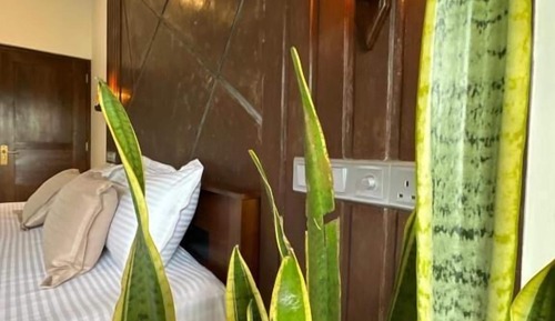 Habitación doble superior, 1 cama de matrimonio
