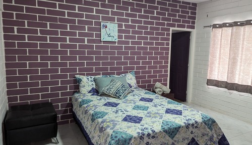 Suite estudio Confort