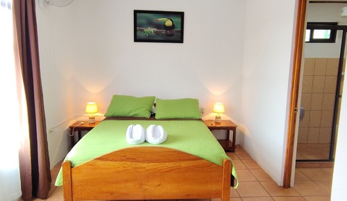 Habitación estándar doble, 1 cama doble, no fumadores, baño privado