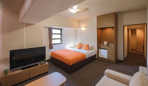 Suite (Deluxe,Cleaning Fee Extra)