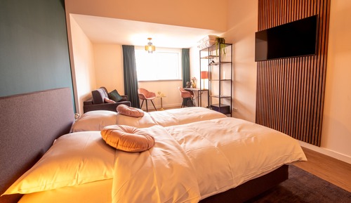 Habitación doble superior, 2 camas individuales