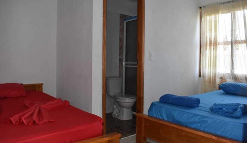 Habitación estándar con 2 camas individuales