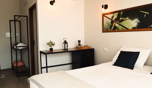 Habitación estándar, 1 cama de matrimonio, chimenea