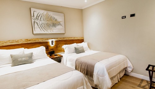 Habitación Business con 1 cama doble o 2 individuales, 2 camas dobles, no fumadores
