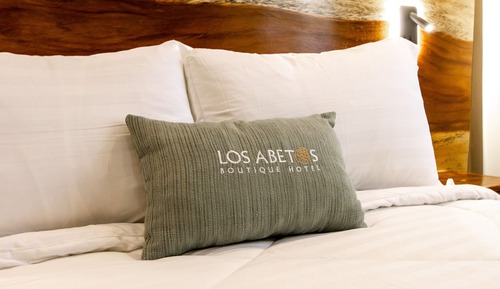 Habitación individual Deluxe, 1 cama de matrimonio, no fumadores