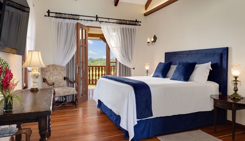 Habitación estándar, 1 cama de matrimonio grande, balcón, vistas al jardín (Standard Room)