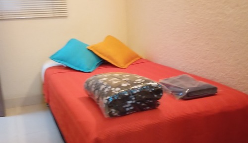 Habitación individual estándar, 1 cama individual