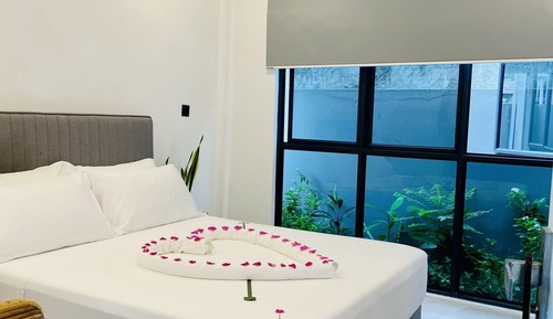 Habitación ejecutiva doble