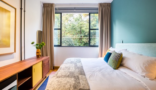 Habitación junior, terraza, vistas al parque