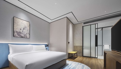 Habitación Premium, 1 cama de matrimonio grande