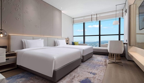 Habitación Deluxe, 2 camas individuales, no fumadores, vistas a la ciudad
