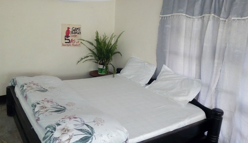 Habitación estándar con 2 camas individuales