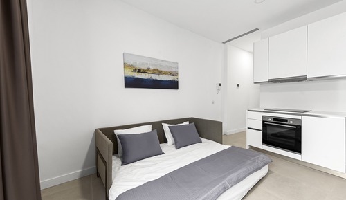 Apartamento estándar, 1 habitación, terraza, vistas parciales al mar
