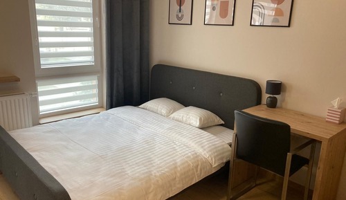 Suite estudio, 1 cama doble, no fumadores
