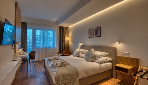 Habitación Premium