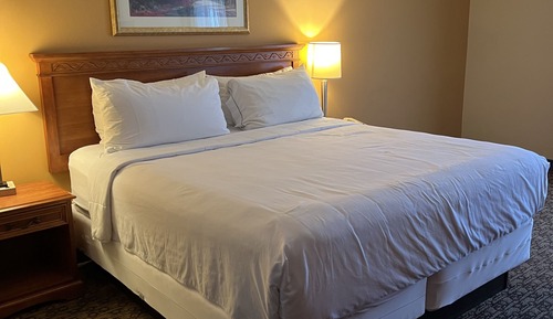 Habitación estándar, 1 cama de matrimonio grande, no fumadores