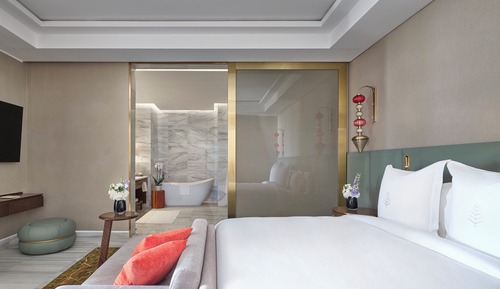 Suite Deluxe, 1 habitación