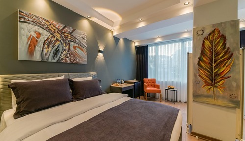 Habitación Confort