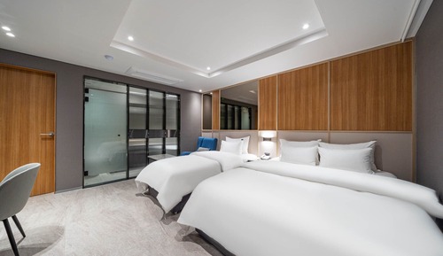 Habitación Deluxe con 2 camas individuales