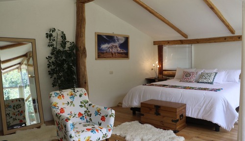 Suite exclusiva
